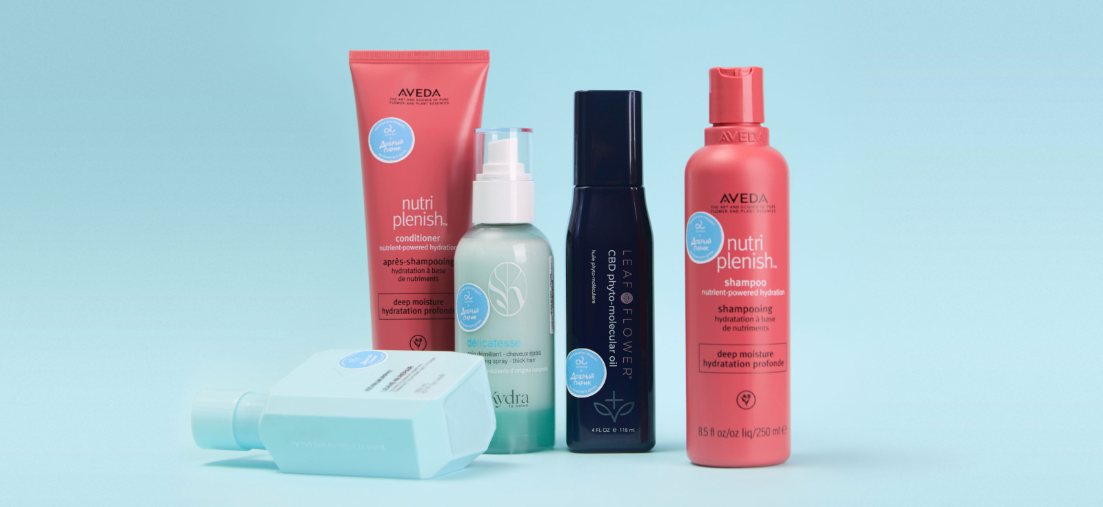 Как принять участие в благотворительной акции «Добрый парик»