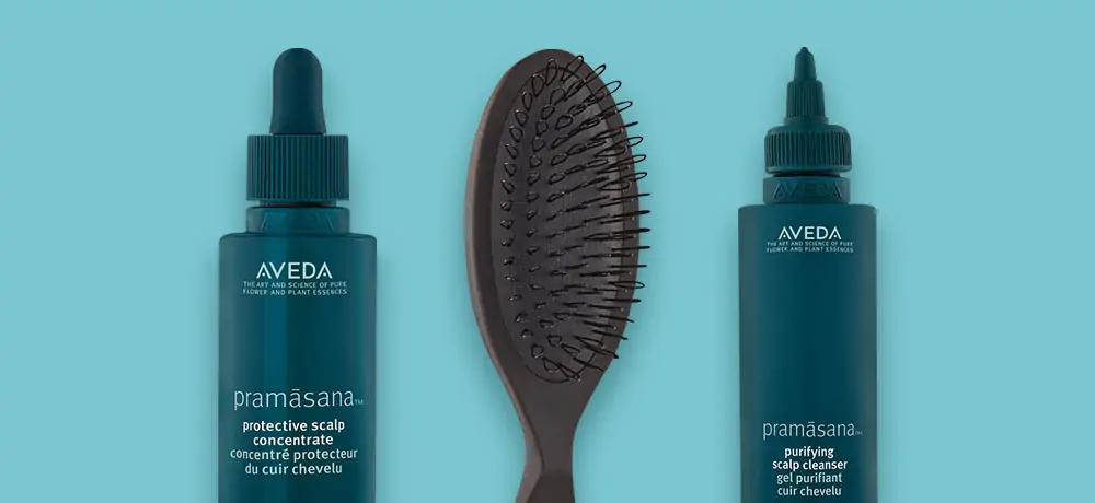 Спросили эксперта: как ухаживать за кожей головы с Aveda – Pramasana